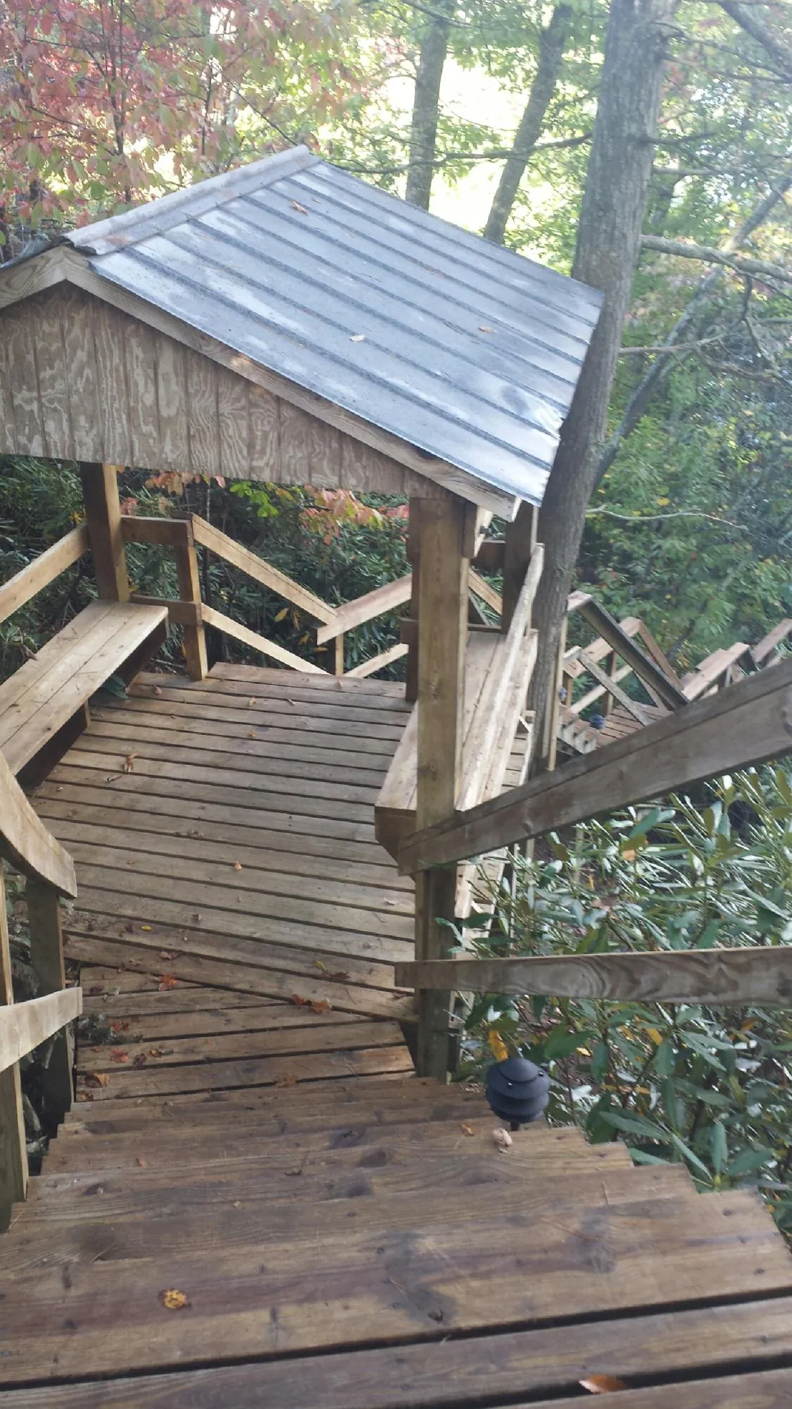 Metal roofed shelter over wooden steps on a wooded walkway — Skylight Repair & Installation work by our crew in Raleigh